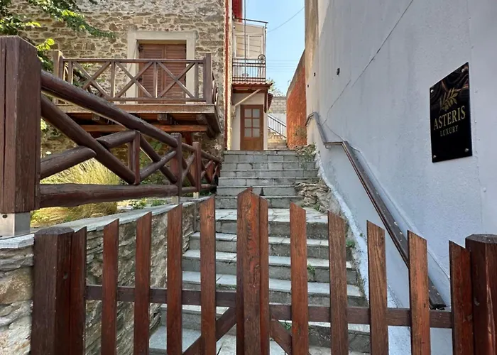 Asteris Luxury House